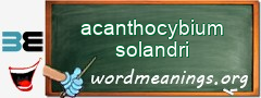 WordMeaning blackboard for acanthocybium solandri